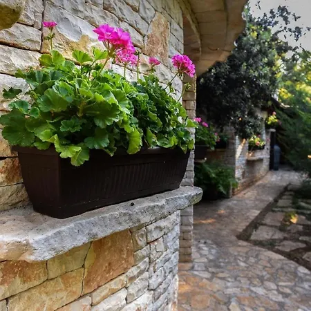 Beachfront Eco Eden Apartman