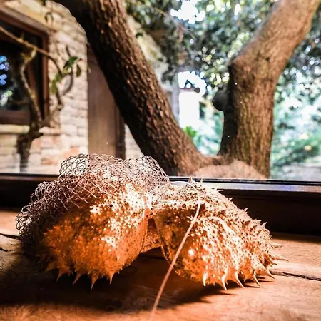 Beachfront Eco Eden *