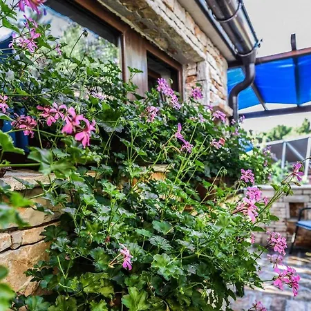 Beachfront Eco Eden Apartament Peroj