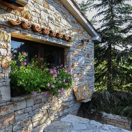 Apartament Beachfront Eco Eden *