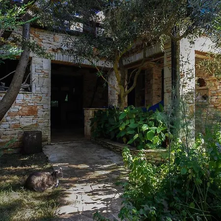 Beachfront Eco Eden *