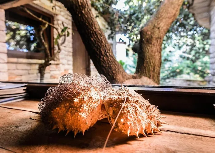 Beachfront Eco Eden *