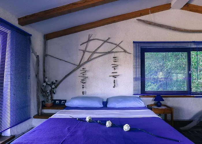 Beachfront Eco Eden Appartamento