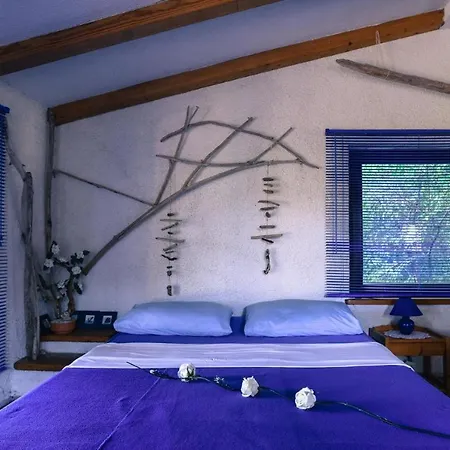 Beachfront Eco Eden Apartmán